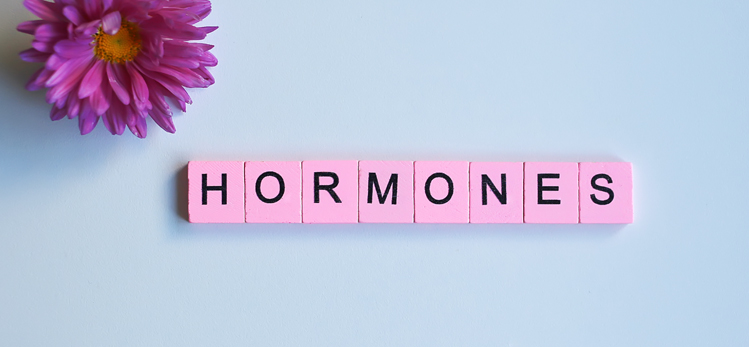 hormones-word-wooden-cubes-on-white