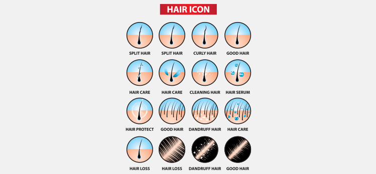 hair-care-problem-icon-symbol