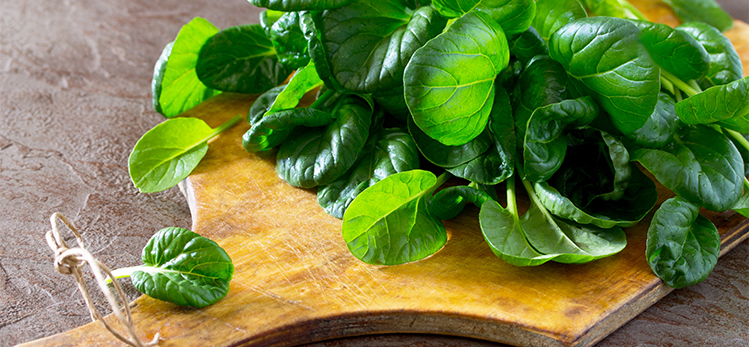 fresh-salad-spinach-leaves-on-slate