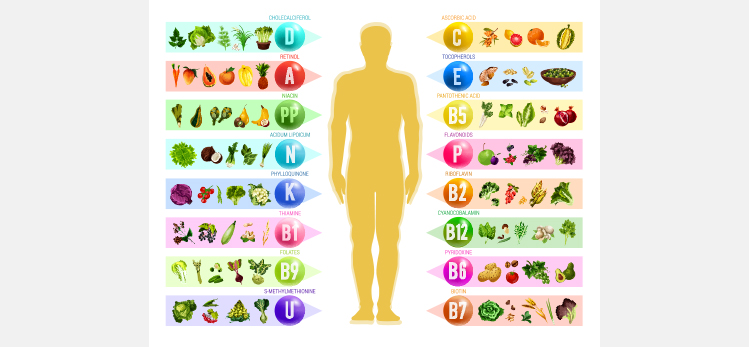 vitamin-mineral-food-human-silhouette-chart